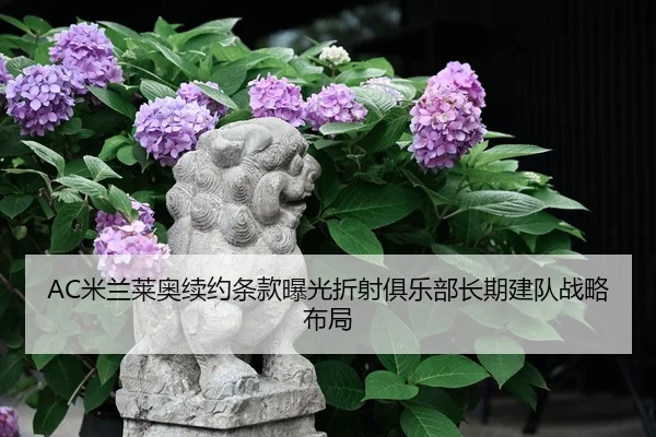AC米兰莱奥续约条款曝光折射俱乐部长期建队战略布局