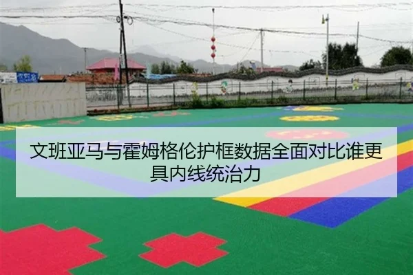 文班亚马与霍姆格伦护框数据全面对比谁更具内线统治力